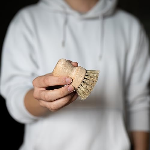 GREAT VALUE mushroom brush for kitchen use