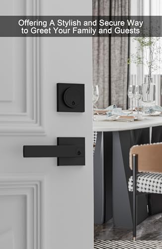 GoldenWarm Modern Door Handle Set - Matte Black