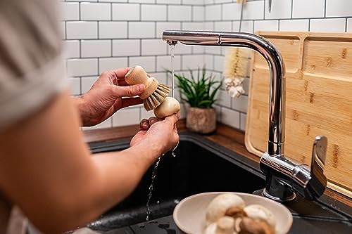 GREAT VALUE mushroom brush for kitchen use