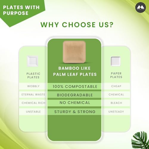 Eco-Friendly 50-Piece 10-Inch Plates Set