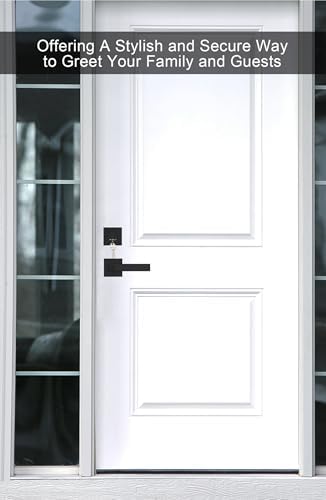 GoldenWarm Modern Door Handle Set - Matte Black