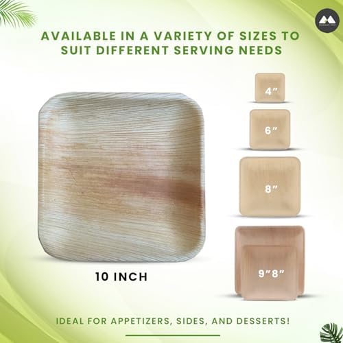 Eco-Friendly 50-Piece 10-Inch Plates Set