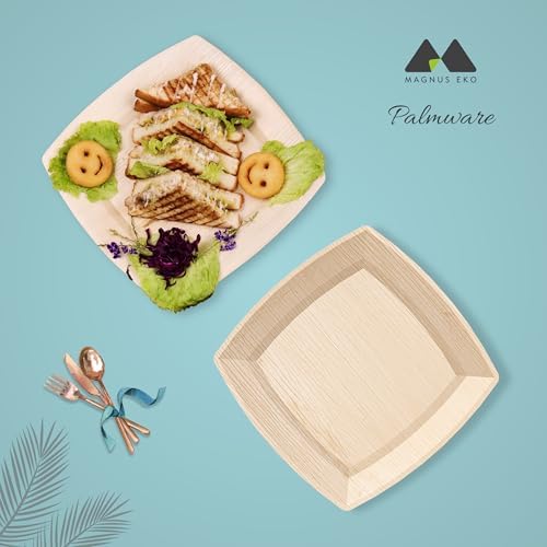 10 Inch Bamboo Plates 50 Pcs