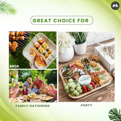 Eco-Friendly 50-Piece 10-Inch Plates Set