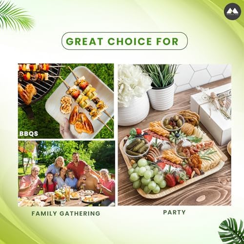 Eco-Friendly 50-Piece 10-Inch Plates Set