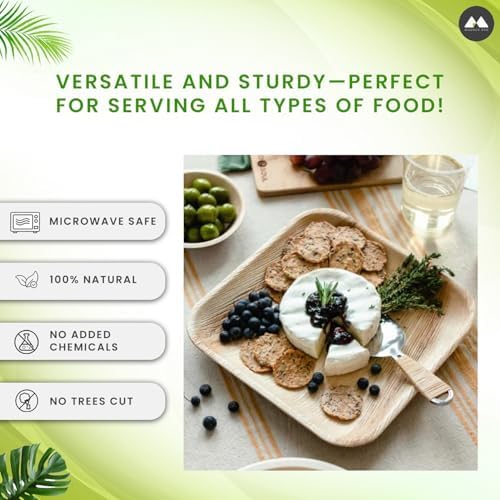 Eco-Friendly 50-Piece 10-Inch Plates Set