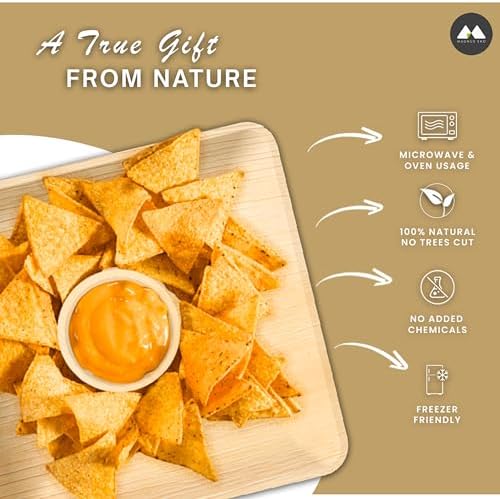 Eco-Friendly 50-Piece 10-Inch Plates Set