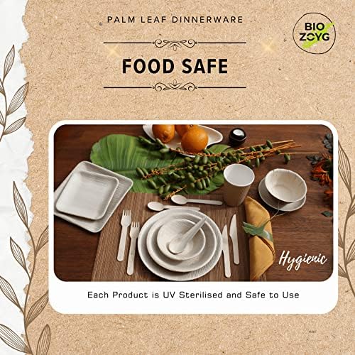 Eco-Friendly 10x10 Inch Plates