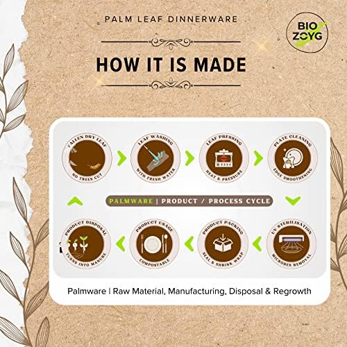 Eco-Friendly 10x10 Inch Plates