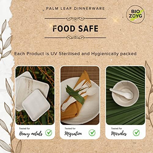 Eco-Friendly 10x10 Inch Plates